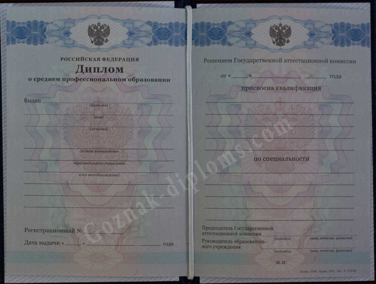 Диплом техникума или колледжа 2007-2010